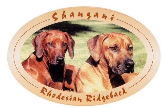 logo_shangani